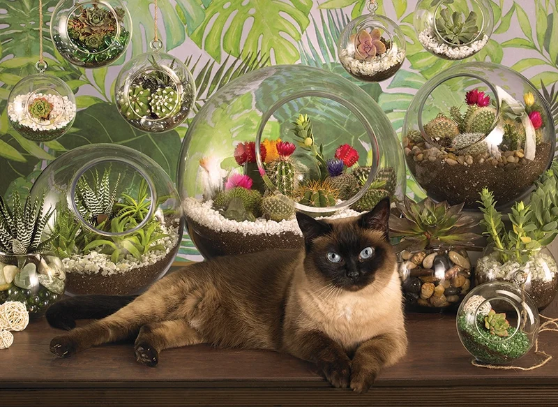 PFG Terrarium Cat, Jo-Ann Richards (Usage/Used - PUZZLES FOR GOOD)