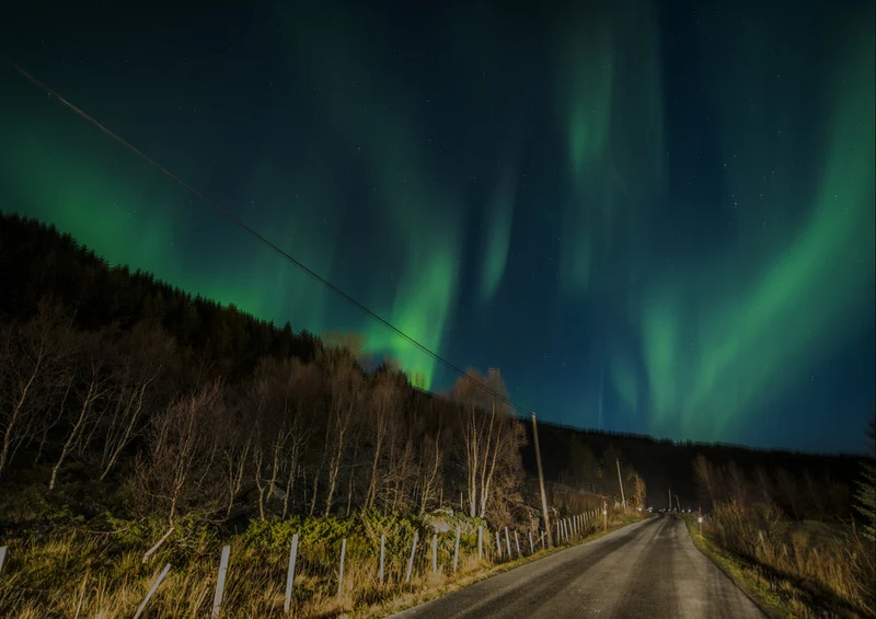 73233 Natur - Aurora Puzzle