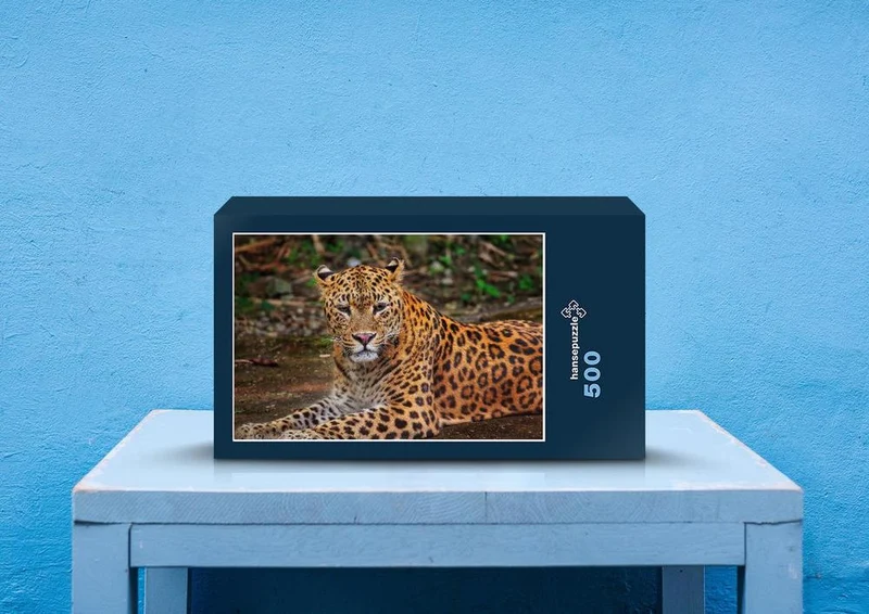 72745 Tierwelt - Leopard Puzzle