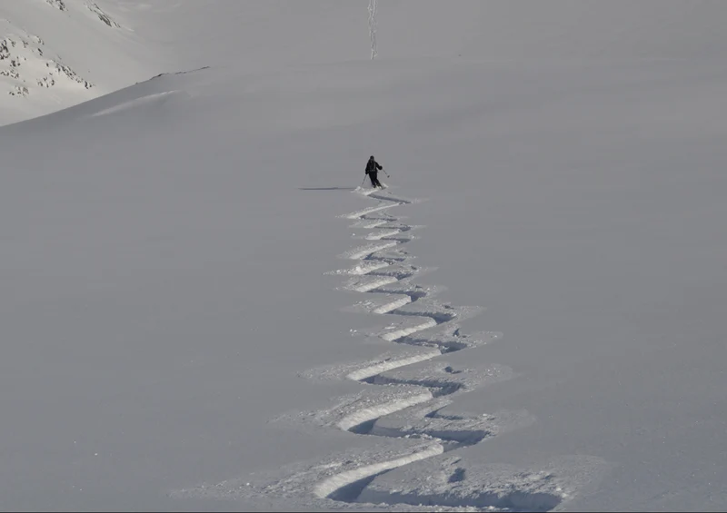 73973 Menschen - ski Puzzle