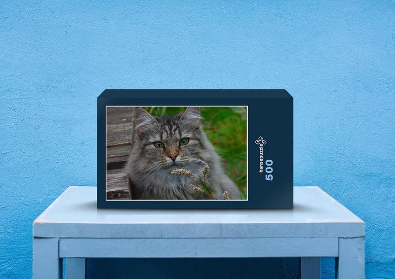 73889 Tierwelt - Norwegische Waldkatze Puzzle
