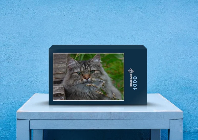 73889 Tierwelt - Norwegische Waldkatze Puzzle