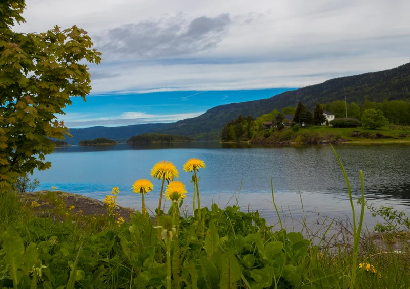 72969 Natur - Norwegen Puzzle