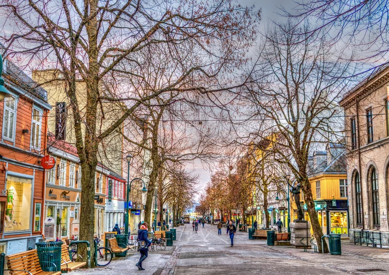 74119 Orte - Trondheim Puzzle