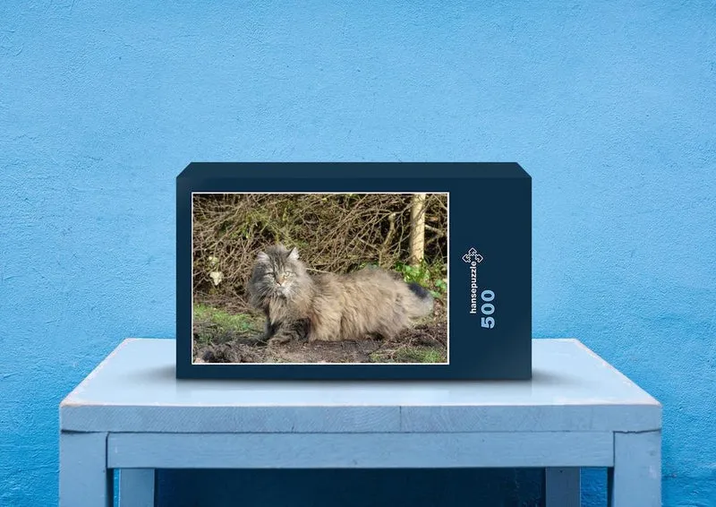 73939 Tierwelt - Wilde Katze Puzzle