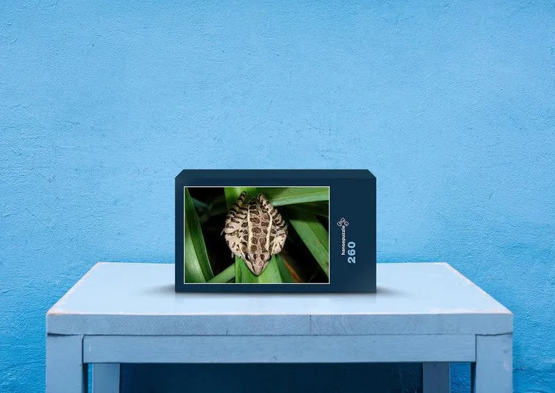 73664 Tierwelt - Frosch Puzzle