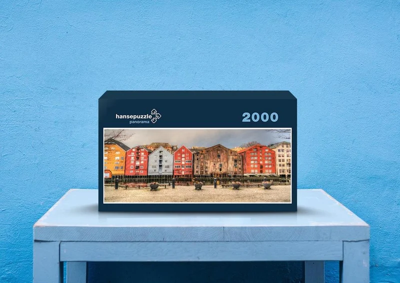 74660 Orte - Trondheim Puzzle