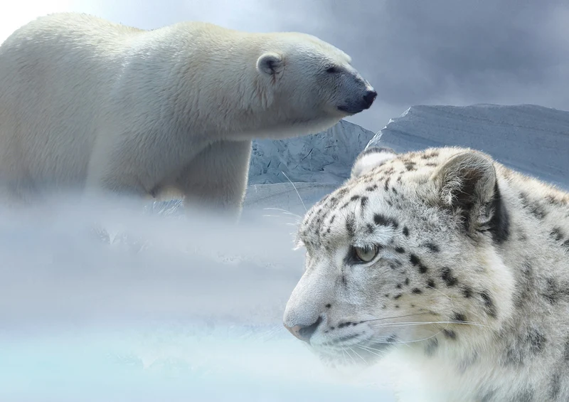 74689 Tierwelt - Wildtiere Puzzle