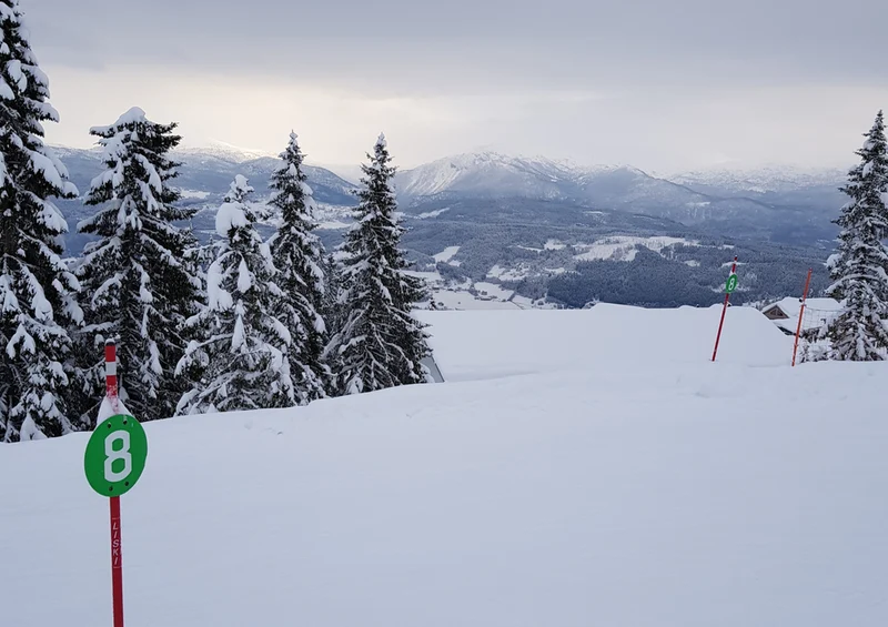 74700 Natur - Winter Puzzle