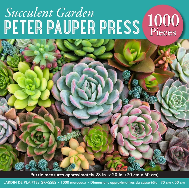 PFG Succulent Garden (1000pcs) (Usage/Used - PUZZLES FOR GOOD)