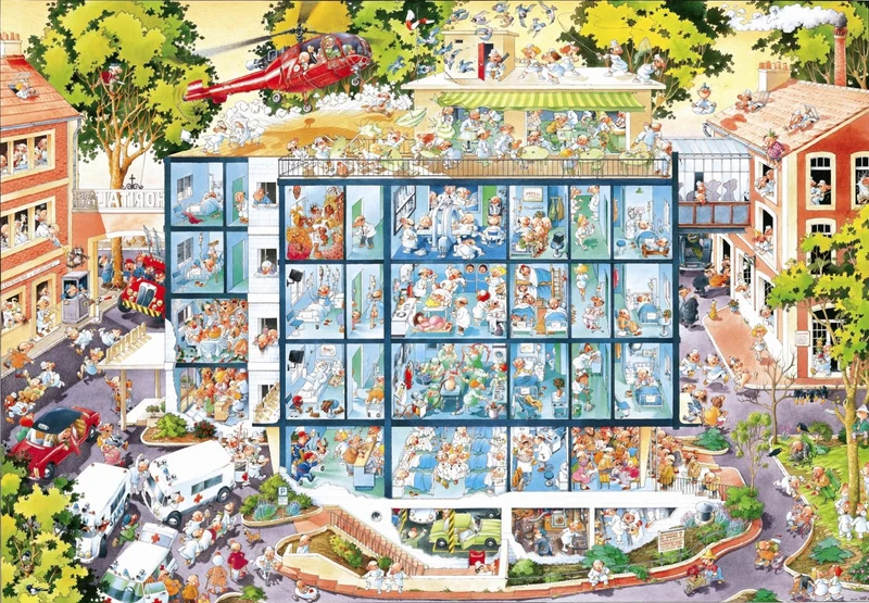 PFG Emergency Room, Loup (Triangular Box) (2000pcs) (Usage/Used - PUZZLES FOR GOOD)