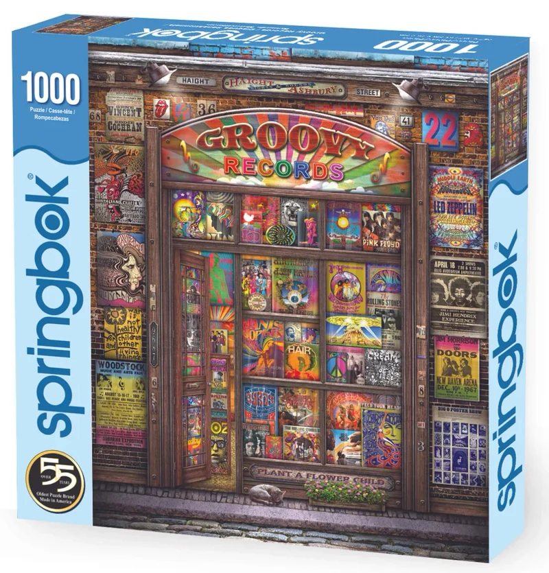 PFG Groovy Records, Michael Fishel (1000pcs) (Usage/Used - PUZZLES FOR GOOD)