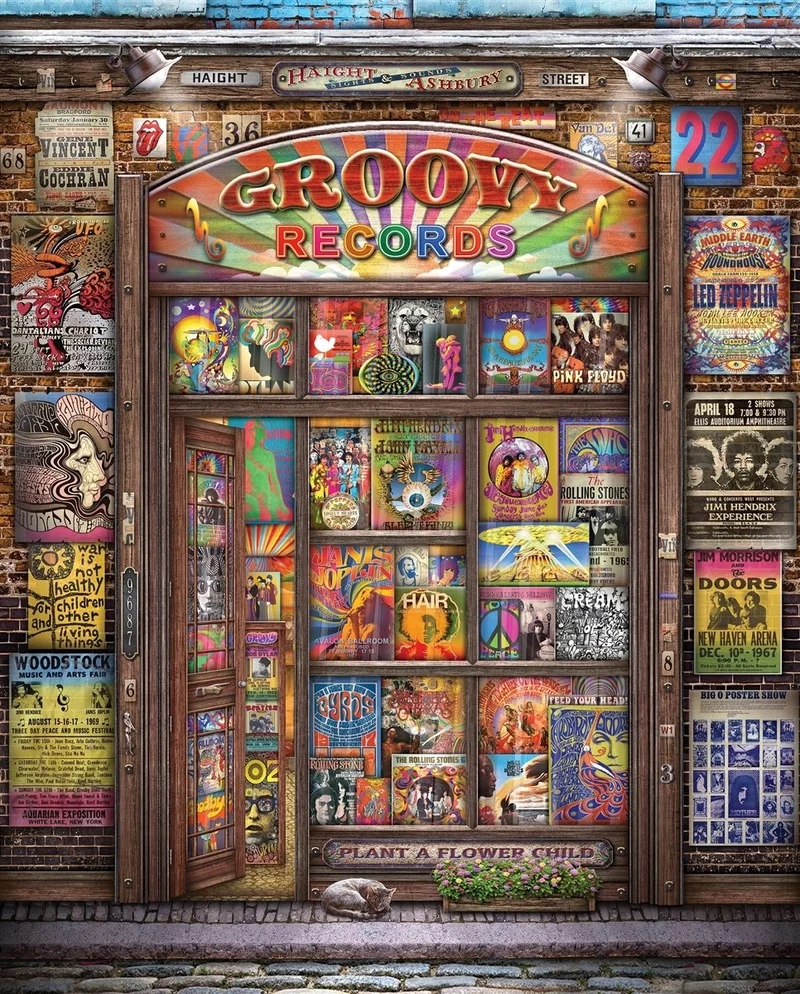 PFG Groovy Records, Michael Fishel (1000pcs) (Usage/Used - PUZZLES FOR GOOD)