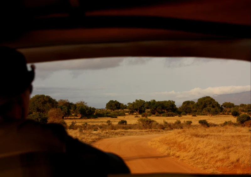 75081 Fortbewegung - Safari Puzzle