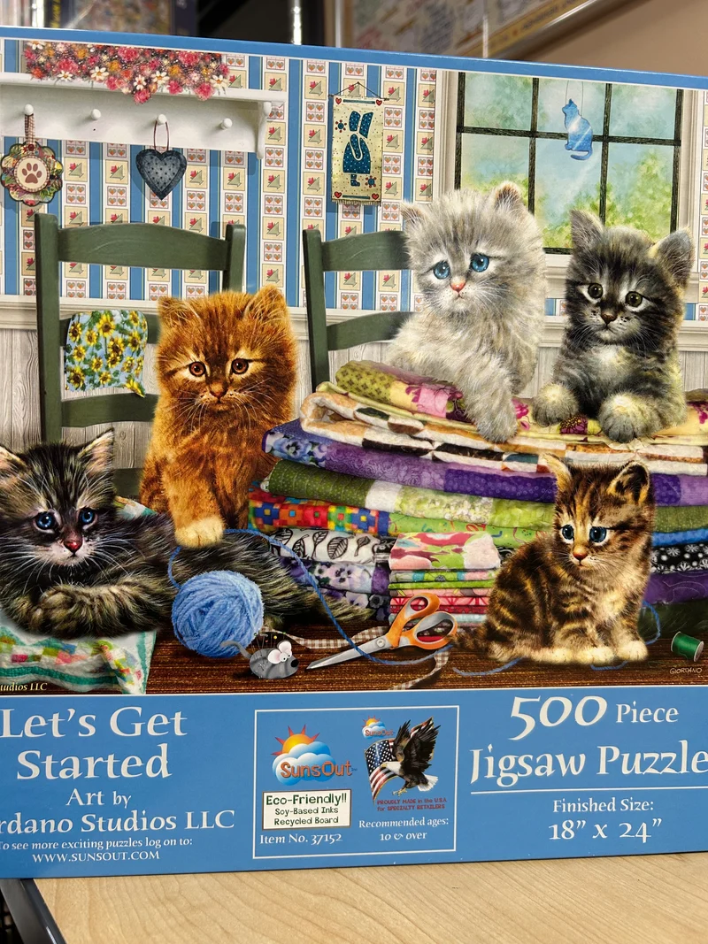 PFG Let's Get Started (Usage/Used - PUZZLES FOR GOOD)