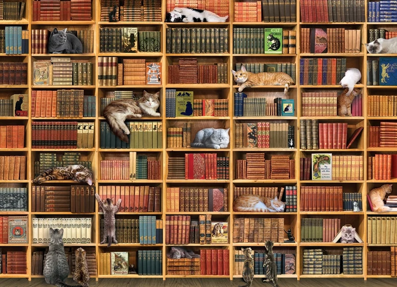 PFG The Cat Library (Usage/Used - PUZZLES FOR GOOD)
