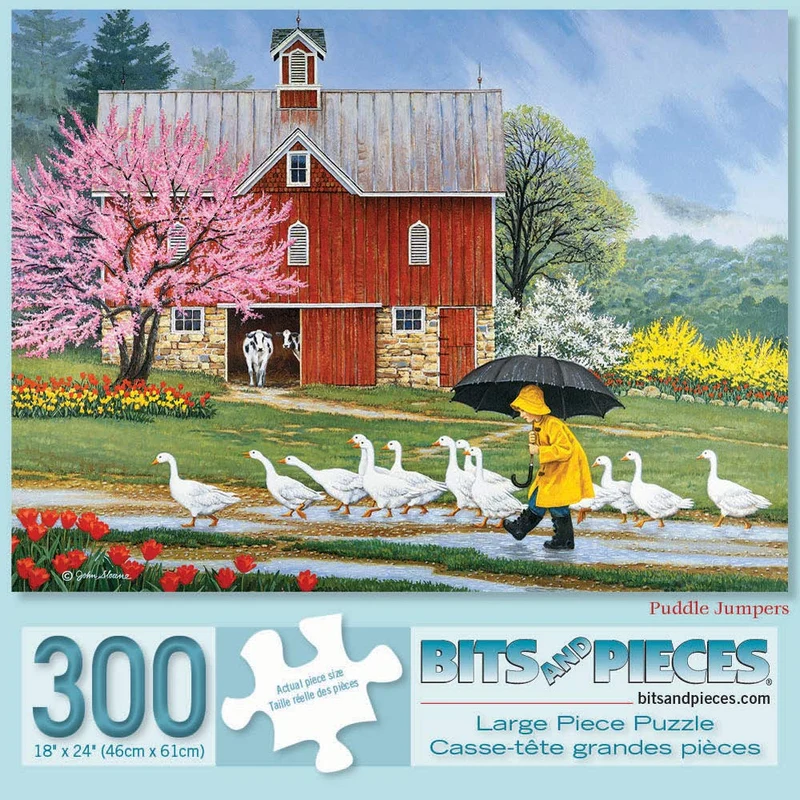 PFG Puddle Jumpers (Usagé/Used - PUZZLES FOR GOOD)
