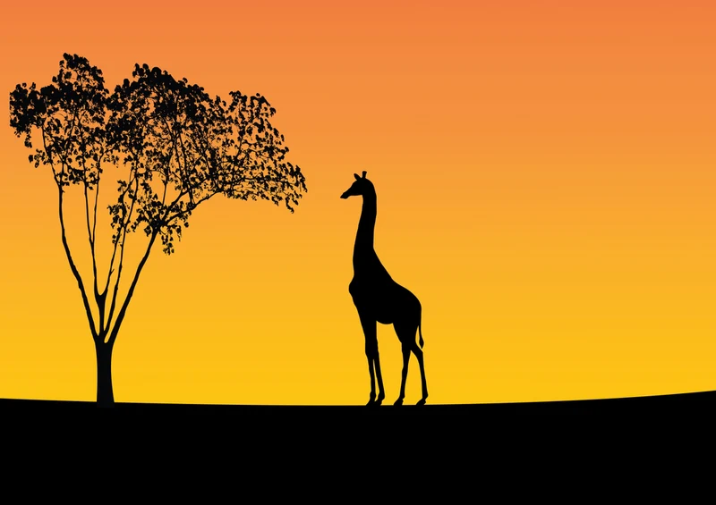 75281 Hintergründe - Afrika Puzzle