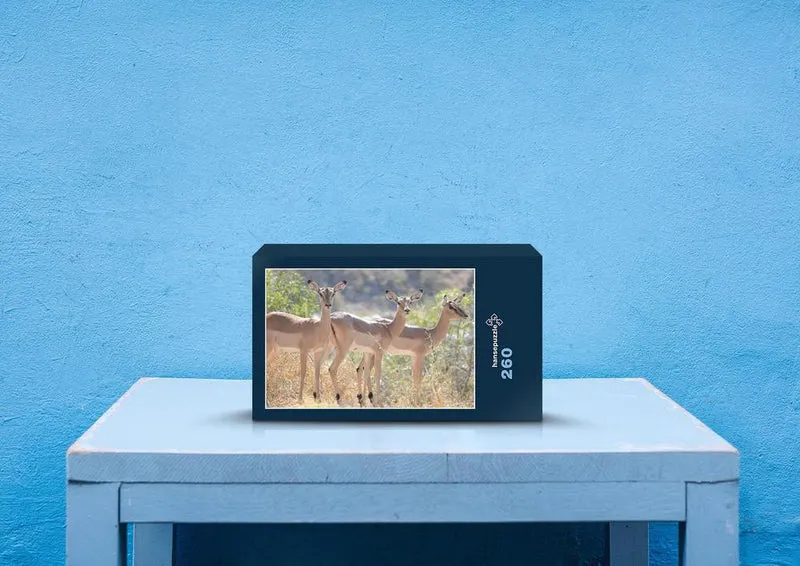 75200 Tierwelt - junge Antilopen Puzzle