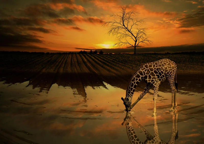75309 Tierwelt - Giraffe Puzzle