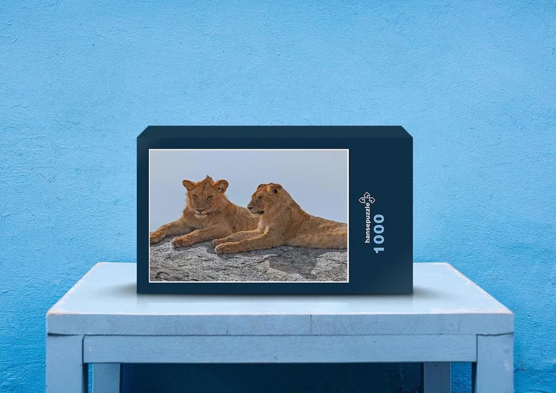 75742 Tierwelt - Löwen Puzzle
