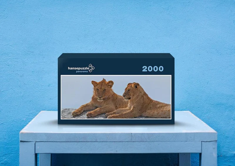 75742 Tierwelt - Löwen Puzzle