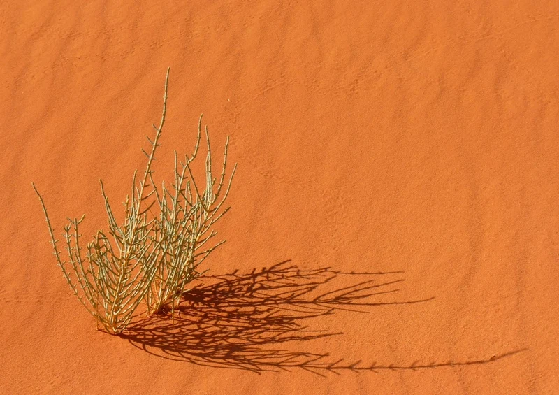 53258 Natur - Wüste Negev Puzzle