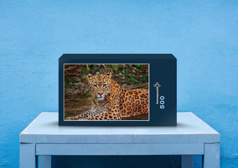70569 Tierwelt - Leopard Puzzle