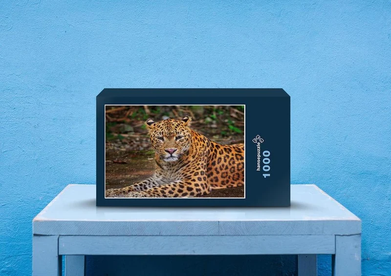 70569 Tierwelt - Leopard Puzzle