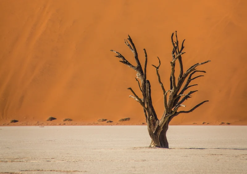 75793 Natur - Afrika Puzzle