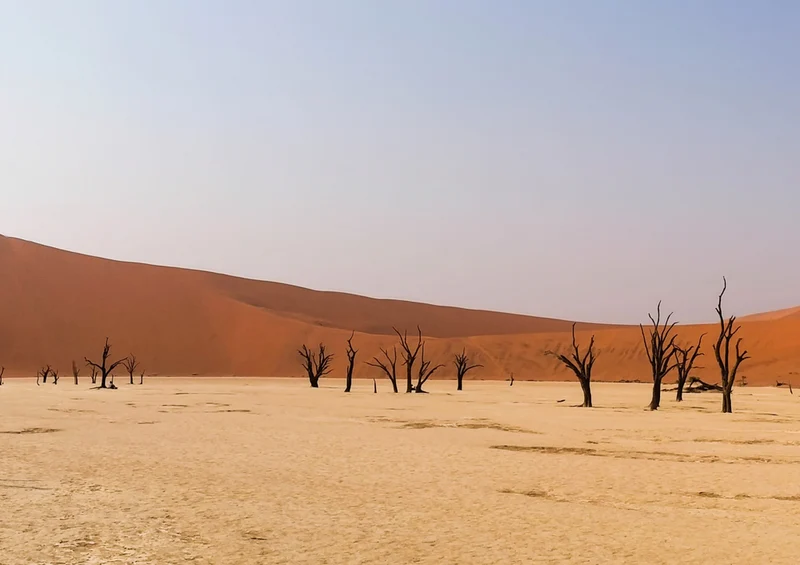 77562 Natur - Namibia Puzzle