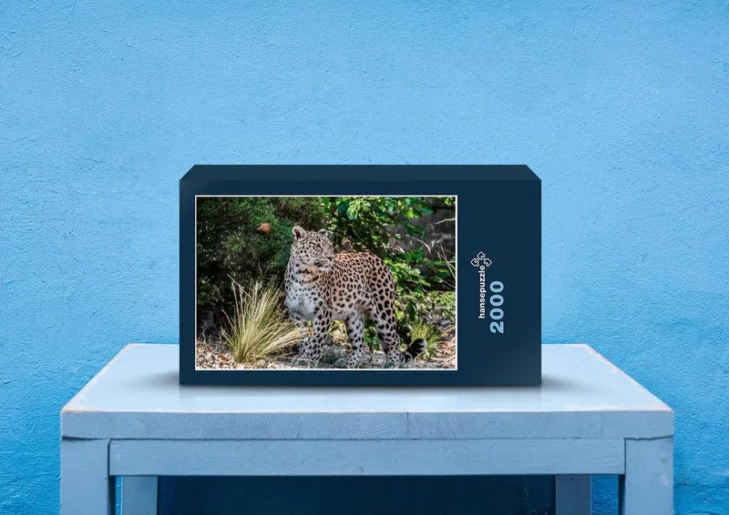 77566 Natur - Leopard Puzzle