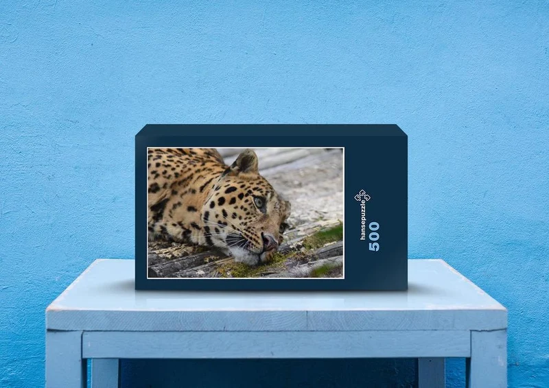 77645 Natur - Leopard Puzzle
