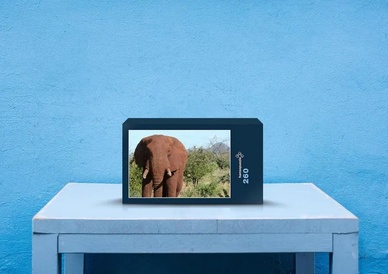 75547 Tierwelt - Elefant Puzzle