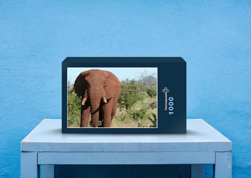 75547 Tierwelt - Elefant Puzzle