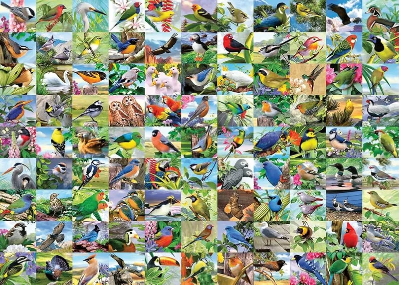 Ravensburger Ninety-Nine - Delightful Birds, Howard Robinson (1000pcs)