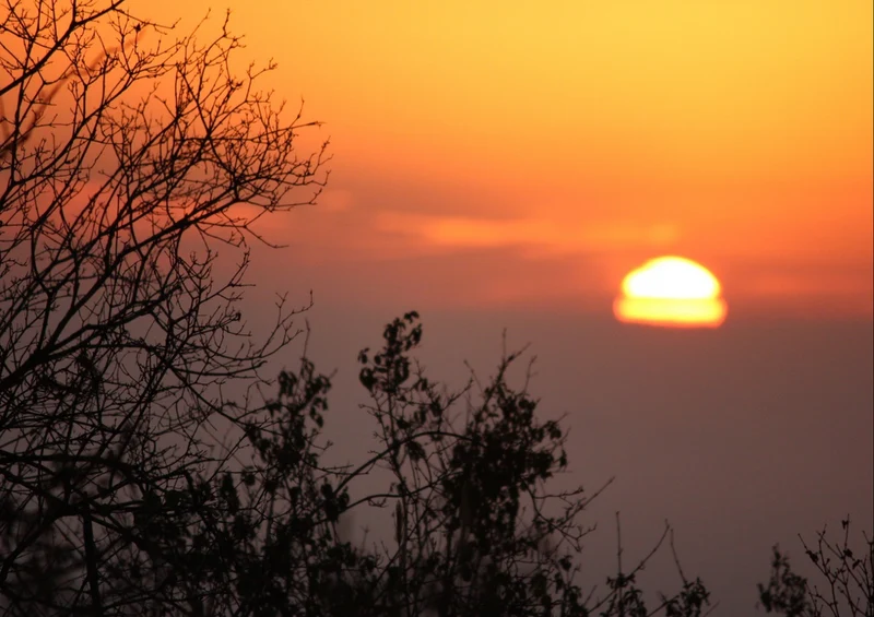 78325 Natur - Sonnenaufgang Puzzle