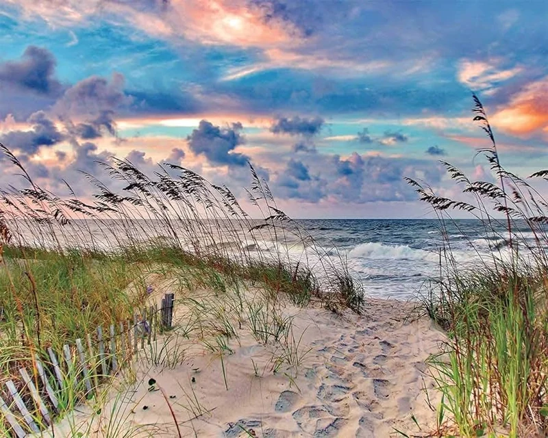 High Tide, Terrah Hewett (1000pcs)