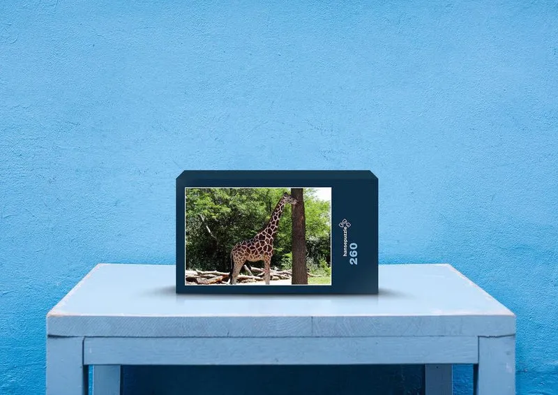 77885 Tierwelt - Giraffe Puzzle