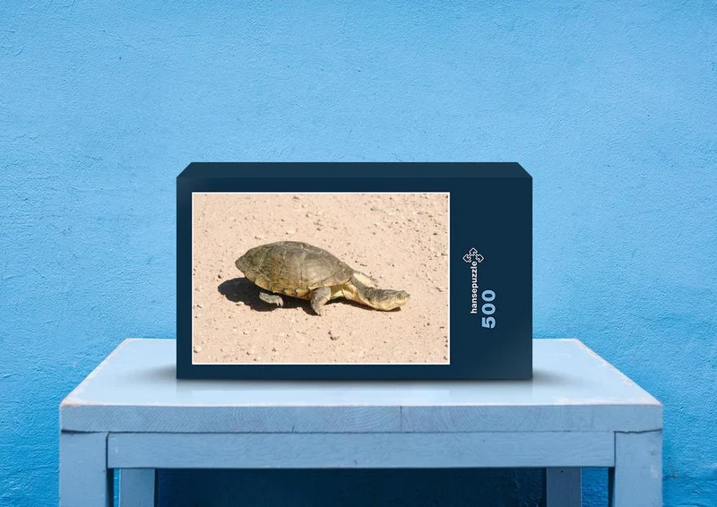 70580 Tierwelt - Schildkröte Puzzle