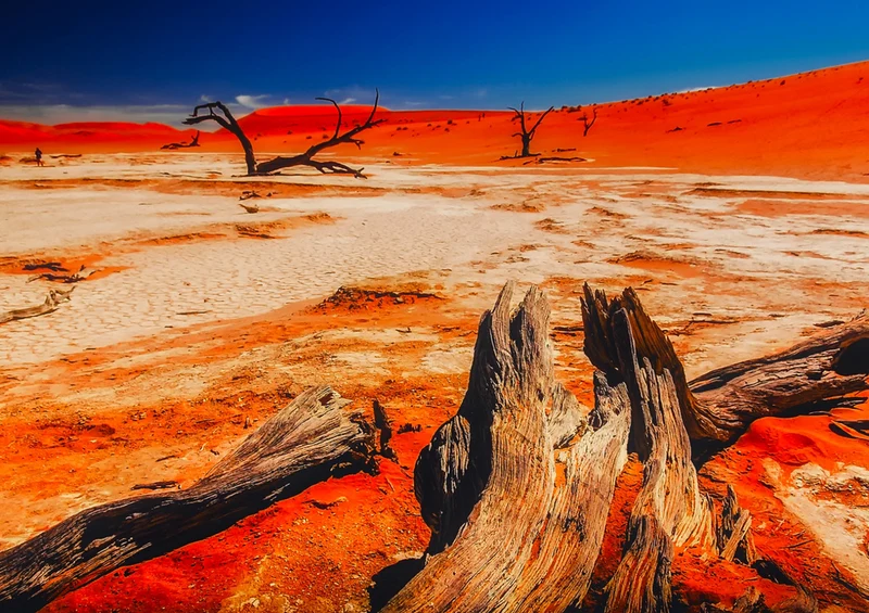 77709 Natur - Namibia Puzzle
