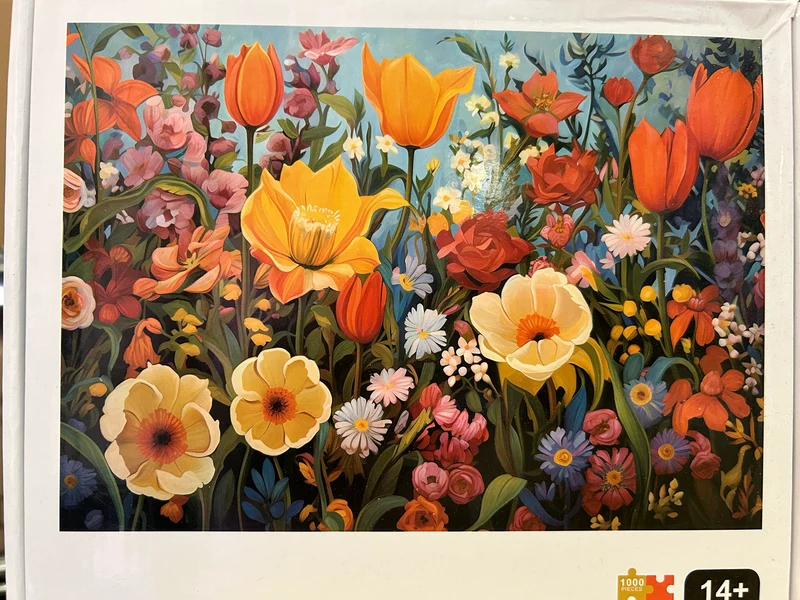 PFG Flowers (1000pcs) (Usagé/Used - PUZZLES FOR GOOD)