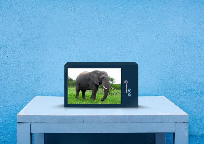 75617 Tierwelt - Elefant Puzzle