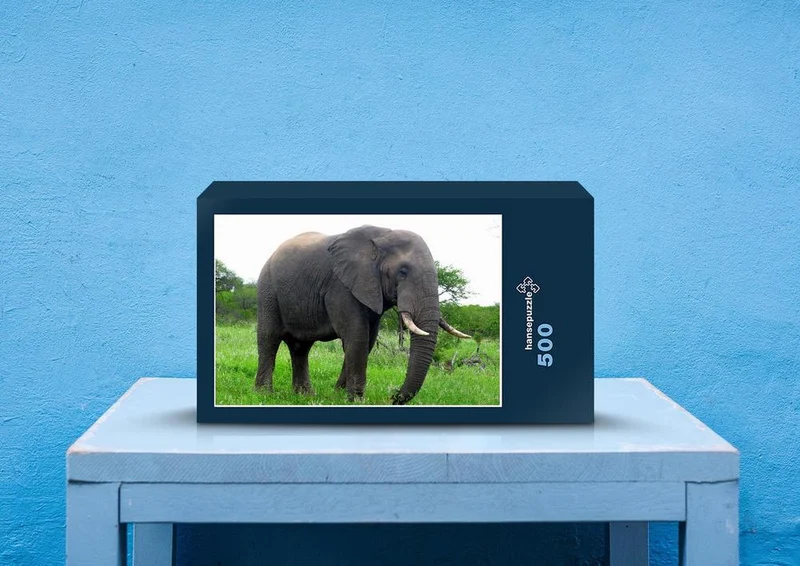 75617 Tierwelt - Elefant Puzzle