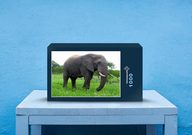 75617 Tierwelt - Elefant Puzzle