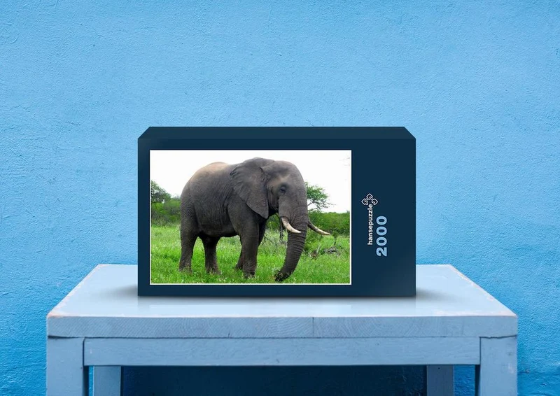 75617 Tierwelt - Elefant Puzzle