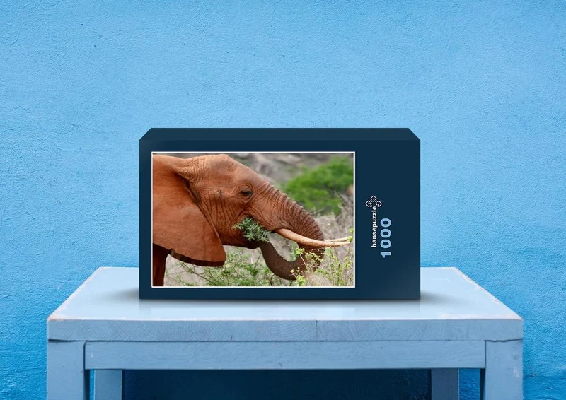 75631 Tierwelt - Elefant Puzzle