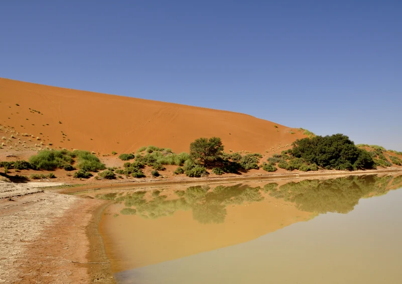 76751 Natur - Namibia Puzzle