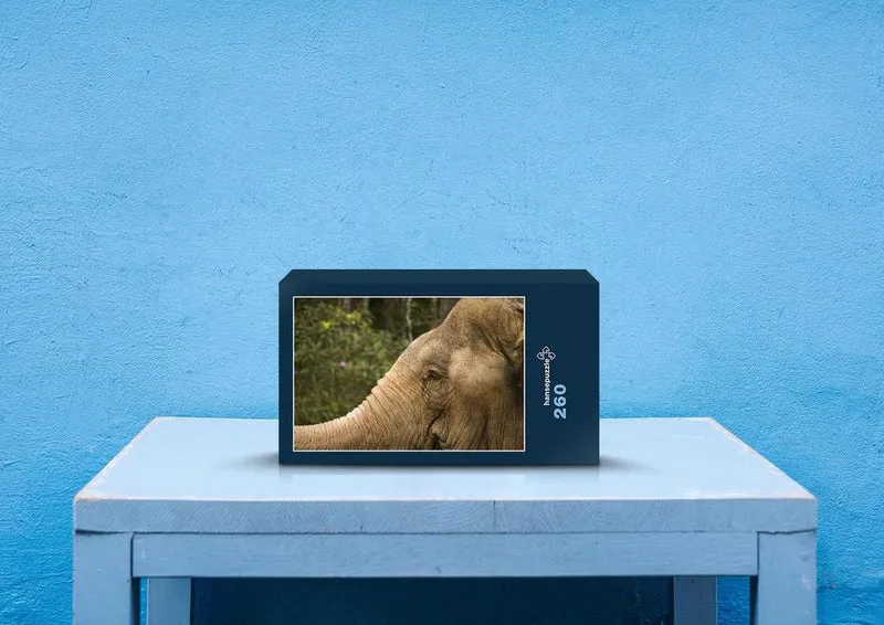 76469 Natur - Elefant Puzzle