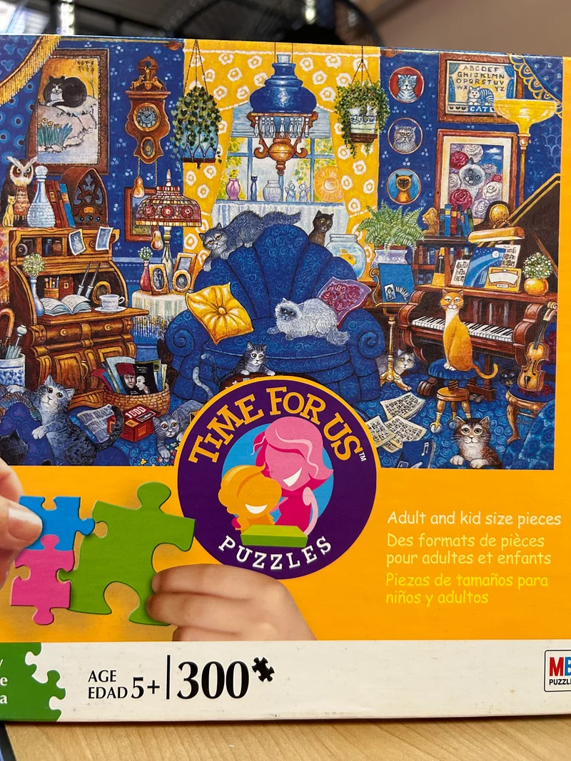 PFG My Blue Heaven (300pcs) (Usage/Used - PUZZLES FOR GOOD)